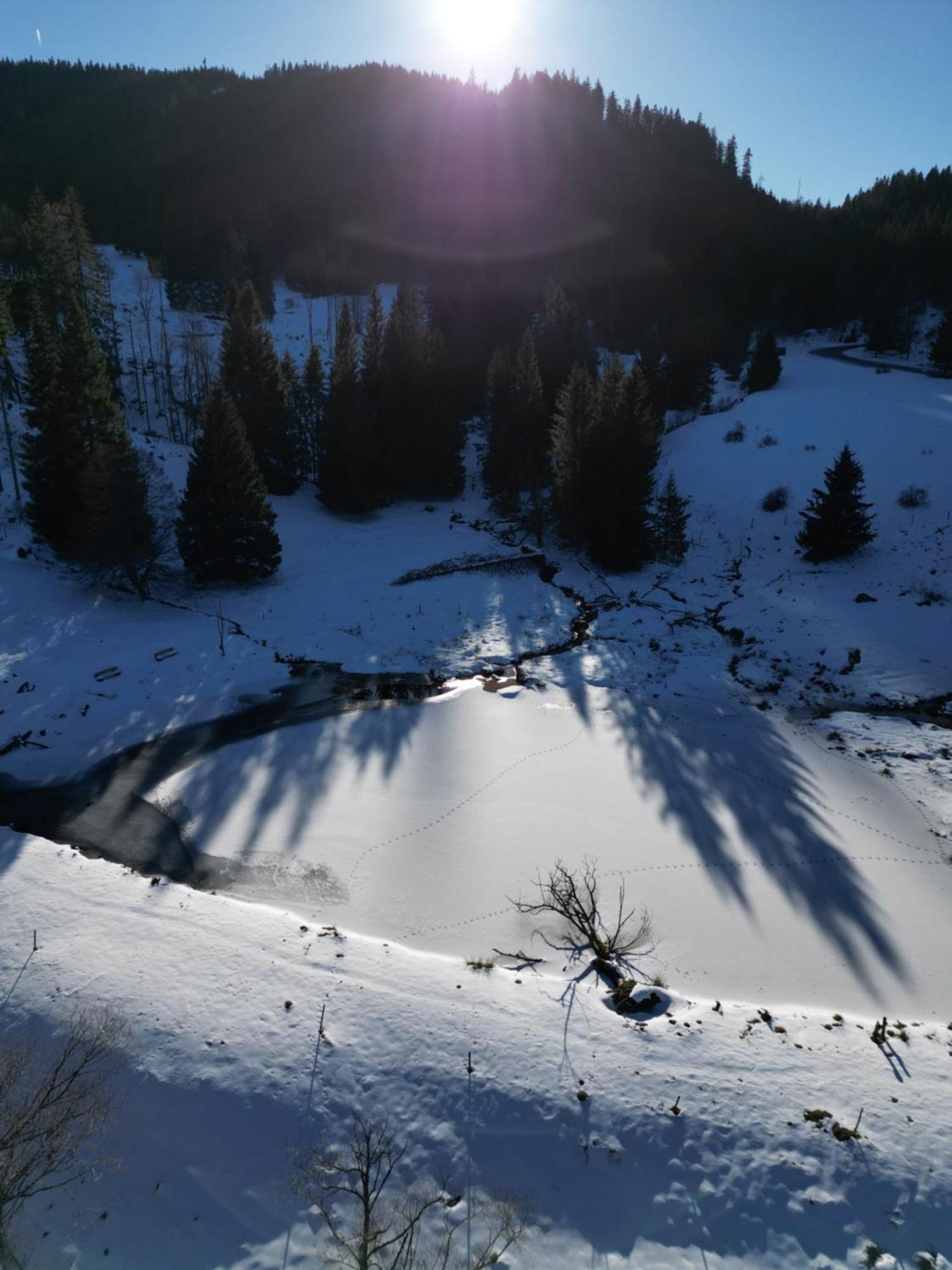 Sporthostel Roessle Schluchsee Εξωτερικό φωτογραφία